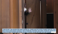 Thumbnail for version as of 21:38, 28 September 2017