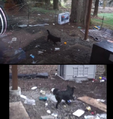 Thumbnail for version as of 08:54, 12 January 2020